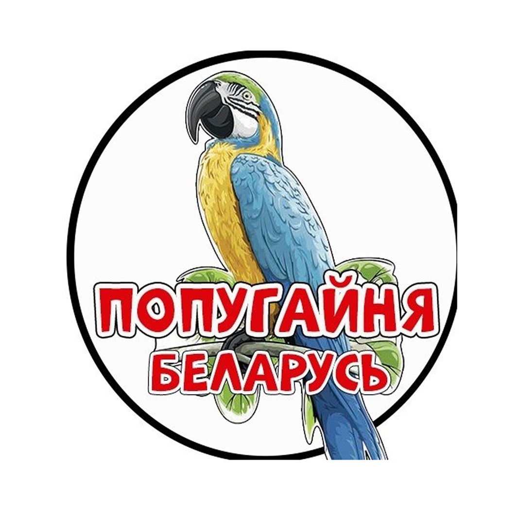 Посещение попугайни от 13р в Бресте